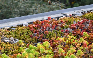 the cost of Kea green roof installation